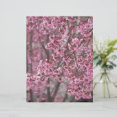 Sakura Cherry Blossoms Flowing Pink (Standing Front)