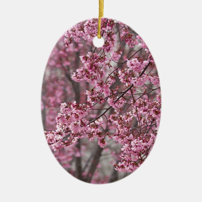 Sakura Cherry Blossoms Flowing Pink Ceramic Ornament (Front)