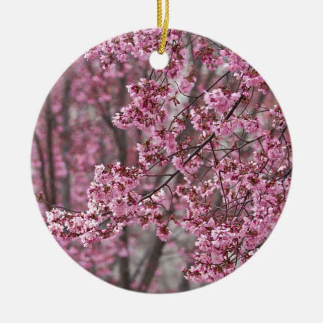 Sakura Cherry Blossoms Flowing Pink Ceramic Ornament (Front)