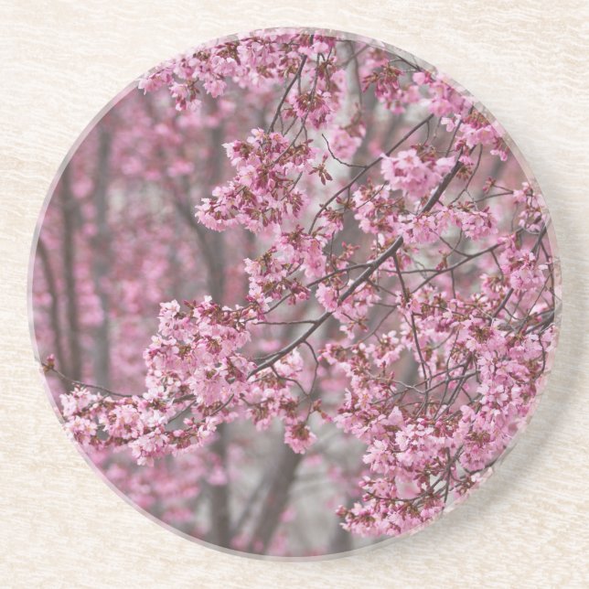 Sakura Cherry Blossoms Flowing Pink Drink Coaster (Front)