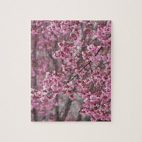 Sakura Cherry Blossoms Flowing Pink Jigsaw Puzzle