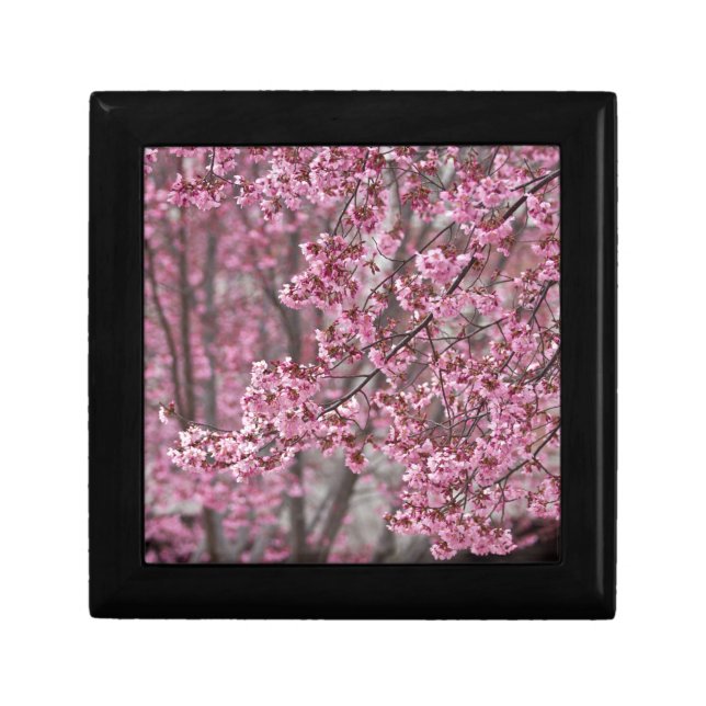 Sakura Cherry Blossoms Flowing Pink Keepsake Box (Front)