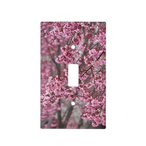 Sakura Cherry Blossoms Flowing Pink Light Switch Cover