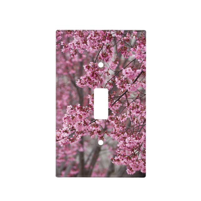 Sakura Cherry Blossoms Flowing Pink Light Switch Cover (Front)