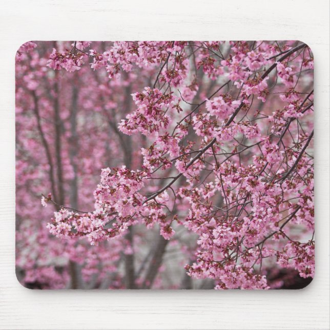 Sakura Cherry Blossoms Flowing Pink Mouse Pad (Front)