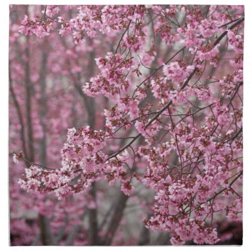 Sakura Cherry Blossoms Flowing Pink Napkin