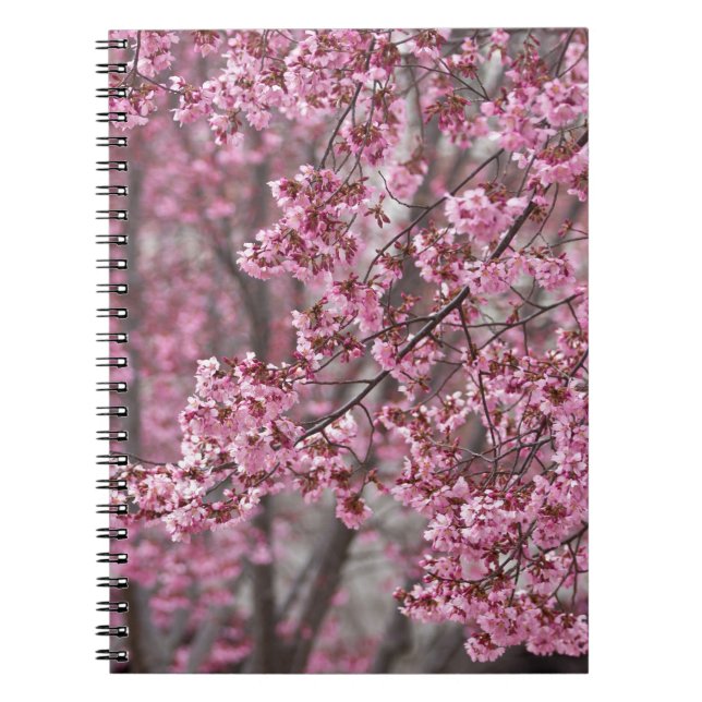 Sakura Cherry Blossoms Flowing Pink Notebook (Front)