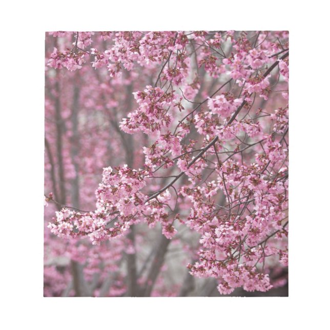 Sakura Cherry Blossoms Flowing Pink Notepad (Front)