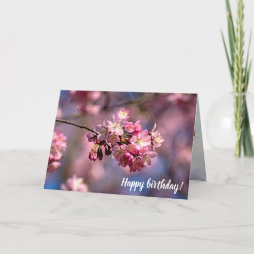 Sakura Cherry Blossoms In Pink Colors Of Spring Card