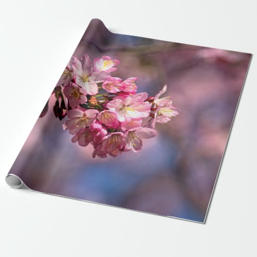 Sakura Cherry Blossoms In Pink Wrapping Paper