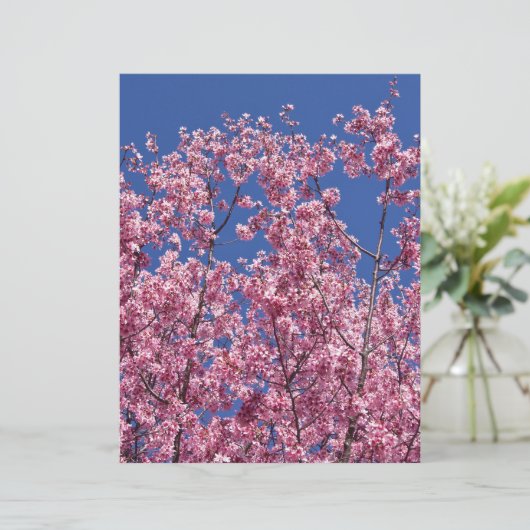 Sakura Cherry Blossoms Into The Blue (Standing Front)