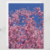 Sakura Cherry Blossoms Into The Blue (Front/Back)