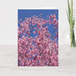 Sakura Cherry Blossoms Into The Blue Card