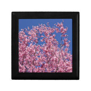 Sakura Cherry Blossoms Into The Blue Jewelry Box