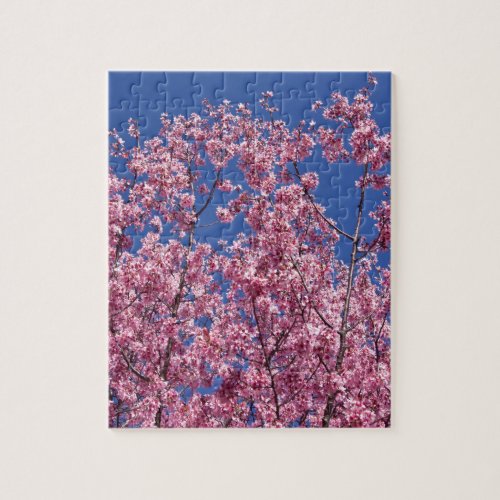 Sakura Cherry Blossoms Into The Blue Jigsaw Puzzle