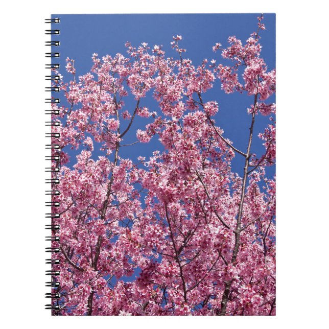 Sakura Cherry Blossoms Into The Blue Notebook (Front)