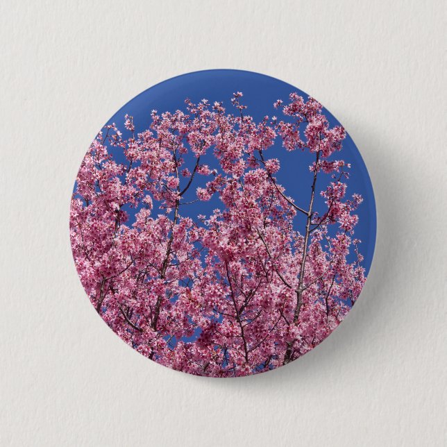 Sakura Cherry Blossoms Into The Blue Pinback Button (Front)