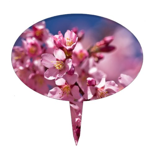 Sakura Cherry Blossoms Kissed by Sunlight Cake Topper