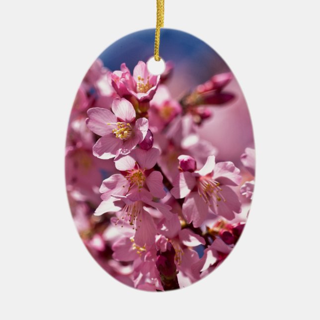 Sakura Cherry Blossoms Kissed by Sunlight Ceramic Ornament (Front)