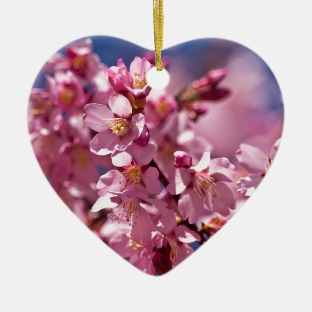 Sakura Cherry Blossoms Kissed by Sunlight Ceramic Ornament (Front)