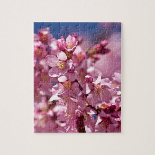 Sakura Cherry Blossoms Kissed by Sunlight Jigsaw Puzzle