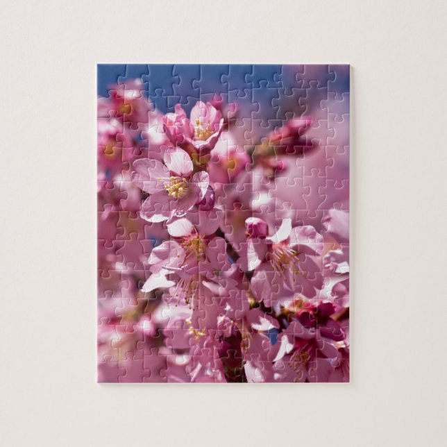 Sakura Cherry Blossoms Kissed by Sunlight Jigsaw Puzzle (Vertical)