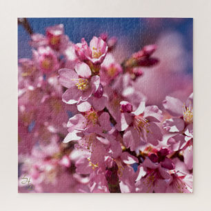 Sakura Cherry Blossoms Kissed by Sunlight Jigsaw Puzzle