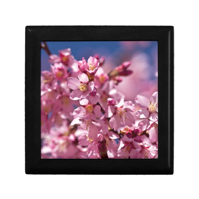 Sakura Cherry Blossoms Kissed by Sunlight Keepsake Box (Front)