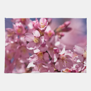 Sakura Cherry Blossoms Kissed by Sunlight Kitchen Towel