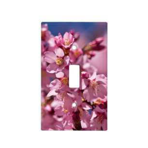 Sakura Cherry Blossoms Kissed By Sunlight Light Switch Cover