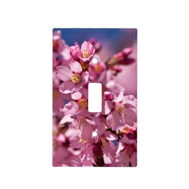 Sakura Cherry Blossoms Kissed By Sunlight Light Switch Cover (Front)