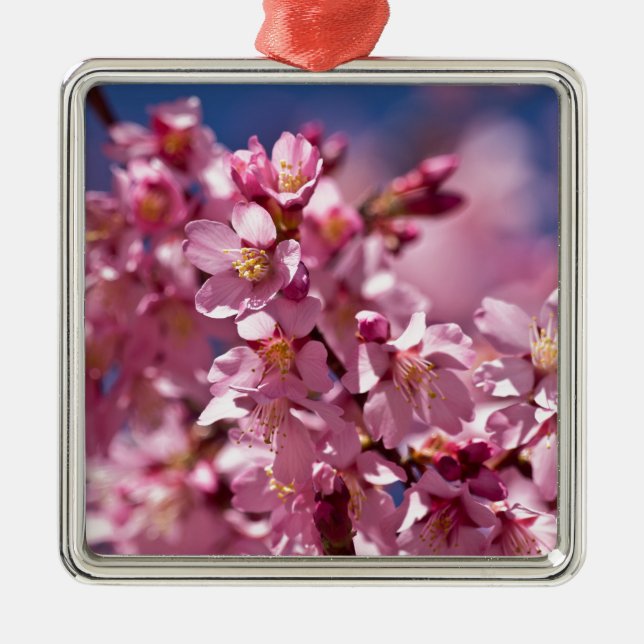 Sakura Cherry Blossoms Kissed by Sunlight Metal Ornament (Front)