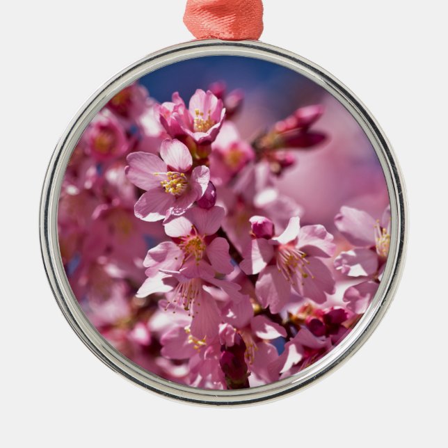 Sakura Cherry Blossoms Kissed by Sunlight Metal Ornament (Front)