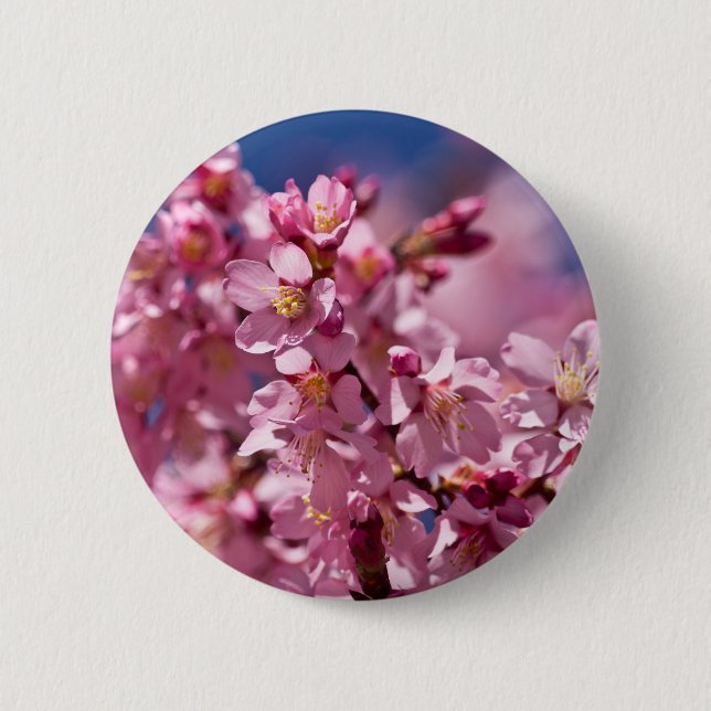 Sakura Cherry Blossoms Kissed by Sunlight Pinback Button (Front)