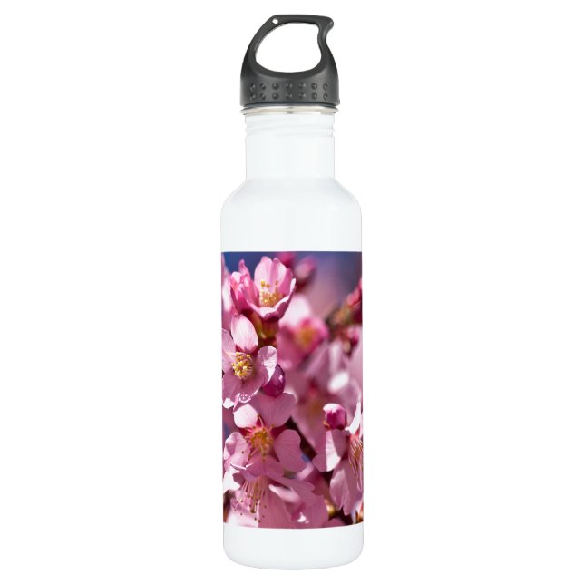 Sakura Cherry Blossoms Kissed by Sunlight Stainless Steel Water Bottle (Front)