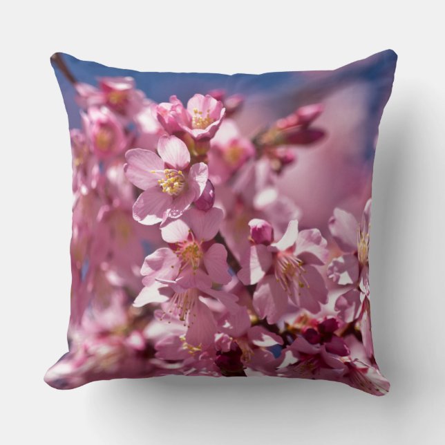 Sakura Cherry Blossoms Kissed by Sunlight Throw Pillow (Front)