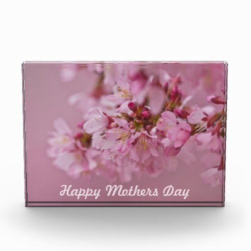 Sakura Cherry Blossoms Mothers Day Forever Card Acrylic Award