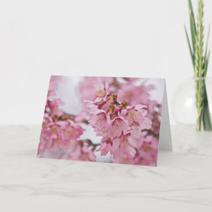 Sakura Cherry Blossoms Pale Pink Card
