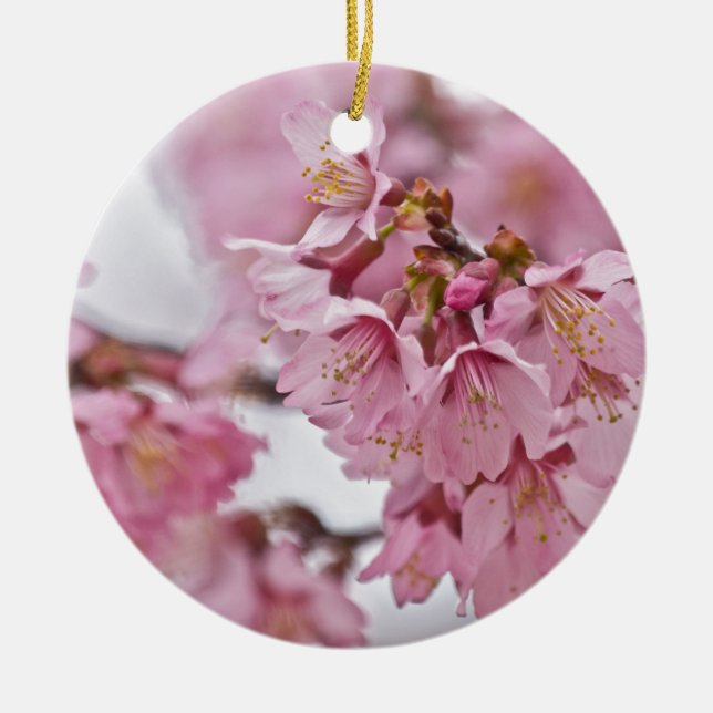 Sakura Cherry Blossoms Pale Pink Ceramic Ornament (Front)