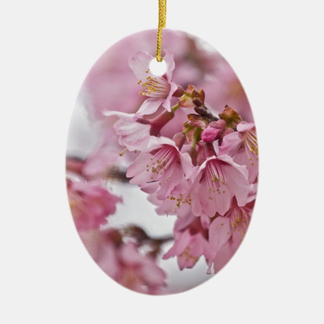 Sakura Cherry Blossoms Pale Pink Ceramic Ornament (Front)
