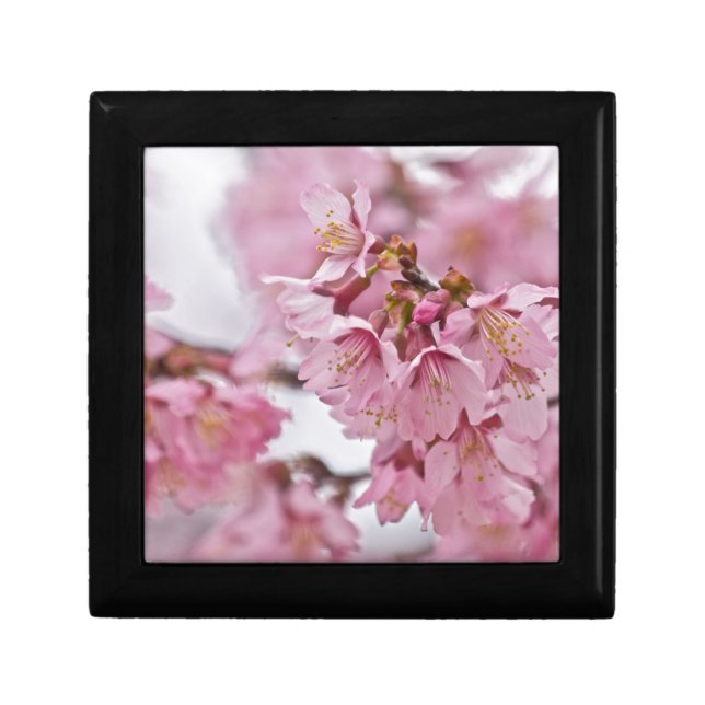 Sakura Cherry Blossoms Pale Pink Keepsake Box (Front)