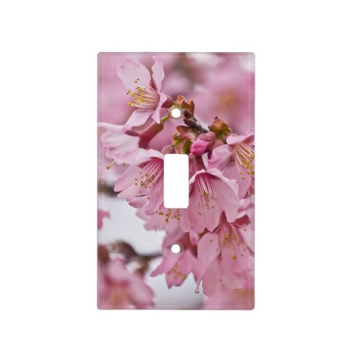Sakura Cherry Blossoms Pale Pink Light Switch Cover