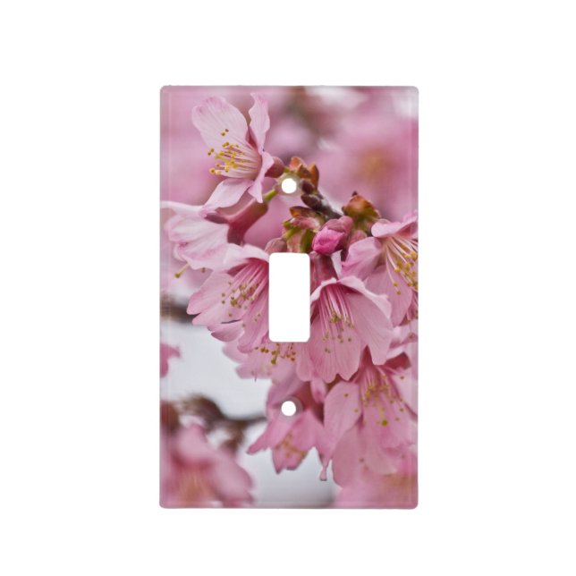 Sakura Cherry Blossoms Pale Pink Light Switch Cover (Front)