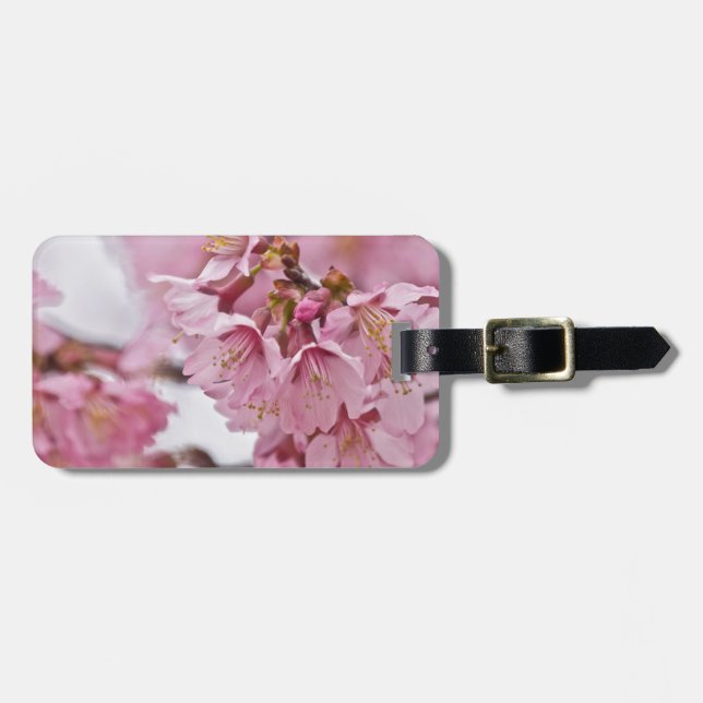 Sakura Cherry Blossoms Pale Pink Luggage Tag (Front Horizontal)