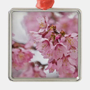 Sakura Cherry Blossoms Pale Pink Metal Ornament