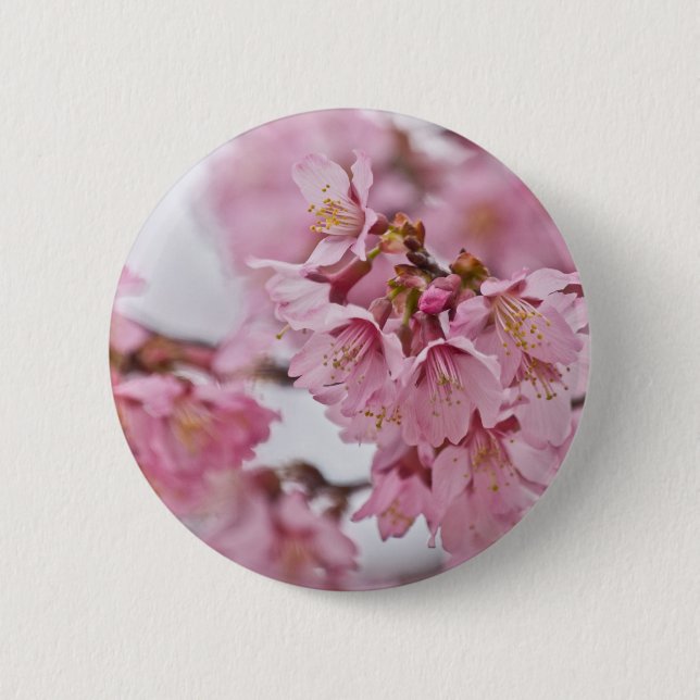 Sakura Cherry Blossoms Pale Pink Pinback Button (Front)