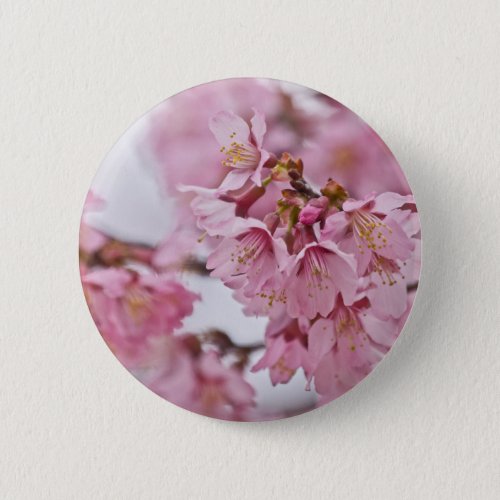 Sakura Cherry Blossoms Pale Pink Pinback Button
