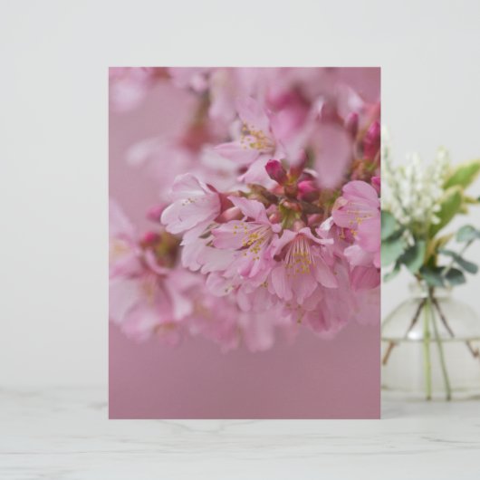 Sakura Cherry Blossoms Pale Pink Reflections (Standing Front)