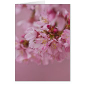 Sakura Cherry Blossoms Pale Pink Reflections (Front)