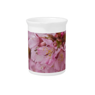 Sakura Cherry Blossoms Pale Pink Reflections Beverage Pitcher